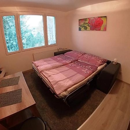 Appartement Garsonka Hlinik à Třeboň Extérieur photo