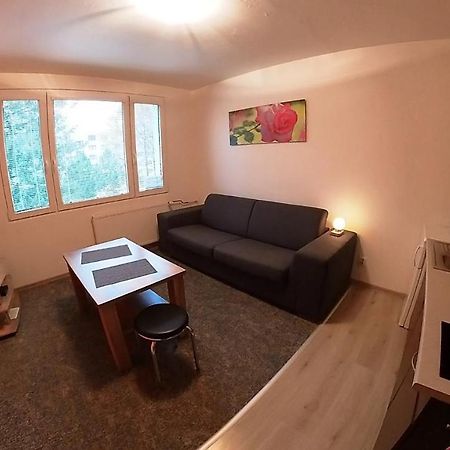 Appartement Garsonka Hlinik à Třeboň Extérieur photo