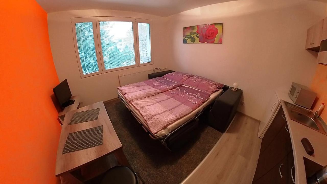 Appartement Garsonka Hlinik à Třeboň Extérieur photo