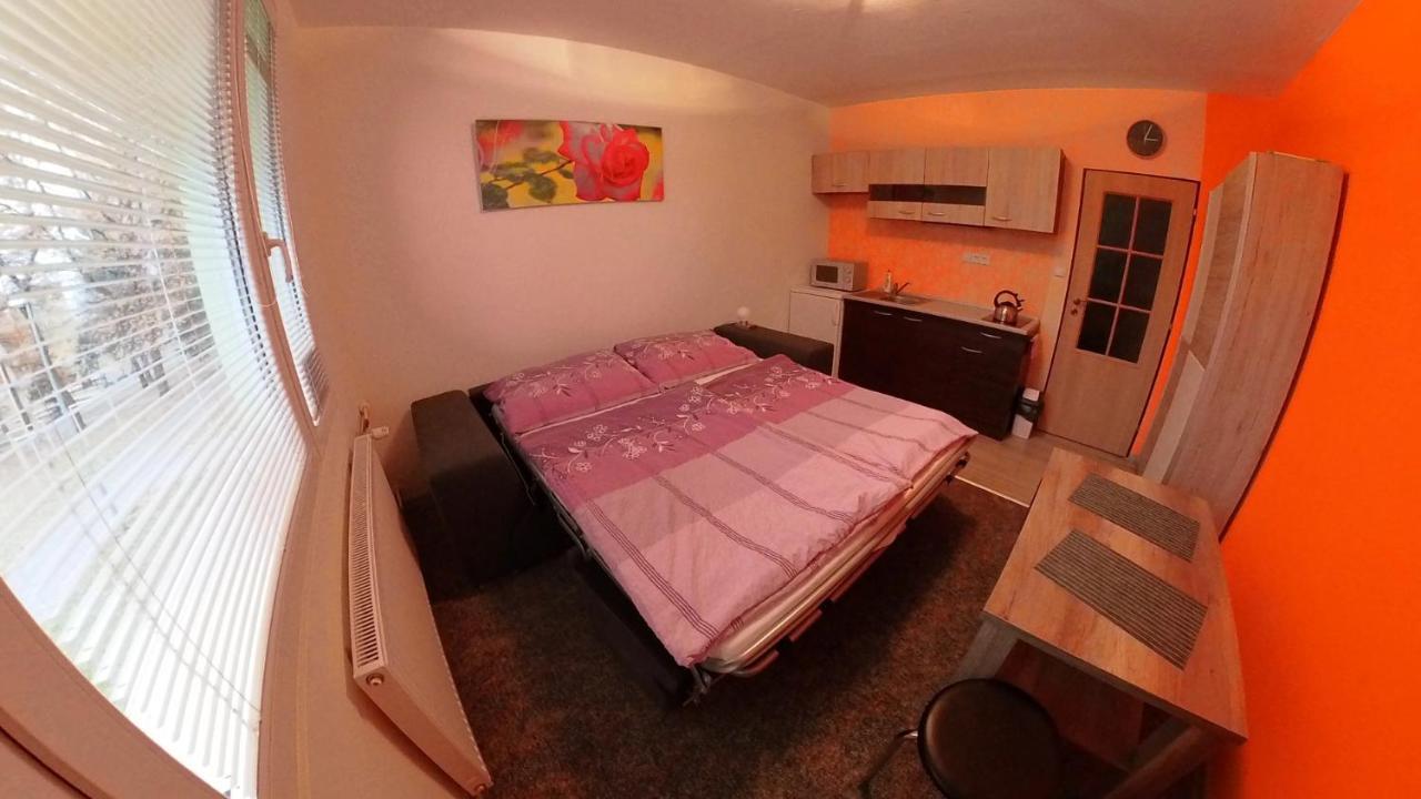 Appartement Garsonka Hlinik à Třeboň Extérieur photo